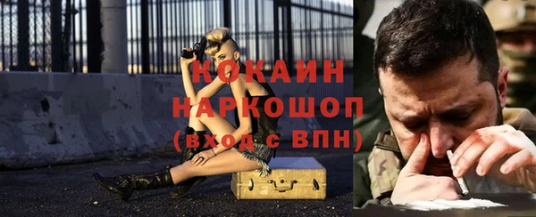 тгк Алзамай