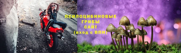 spice Алексин